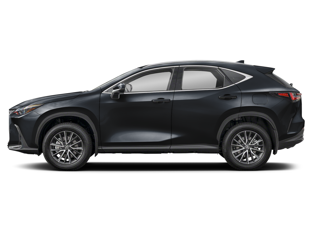 2024 Lexus NX 350h Premium photo 2