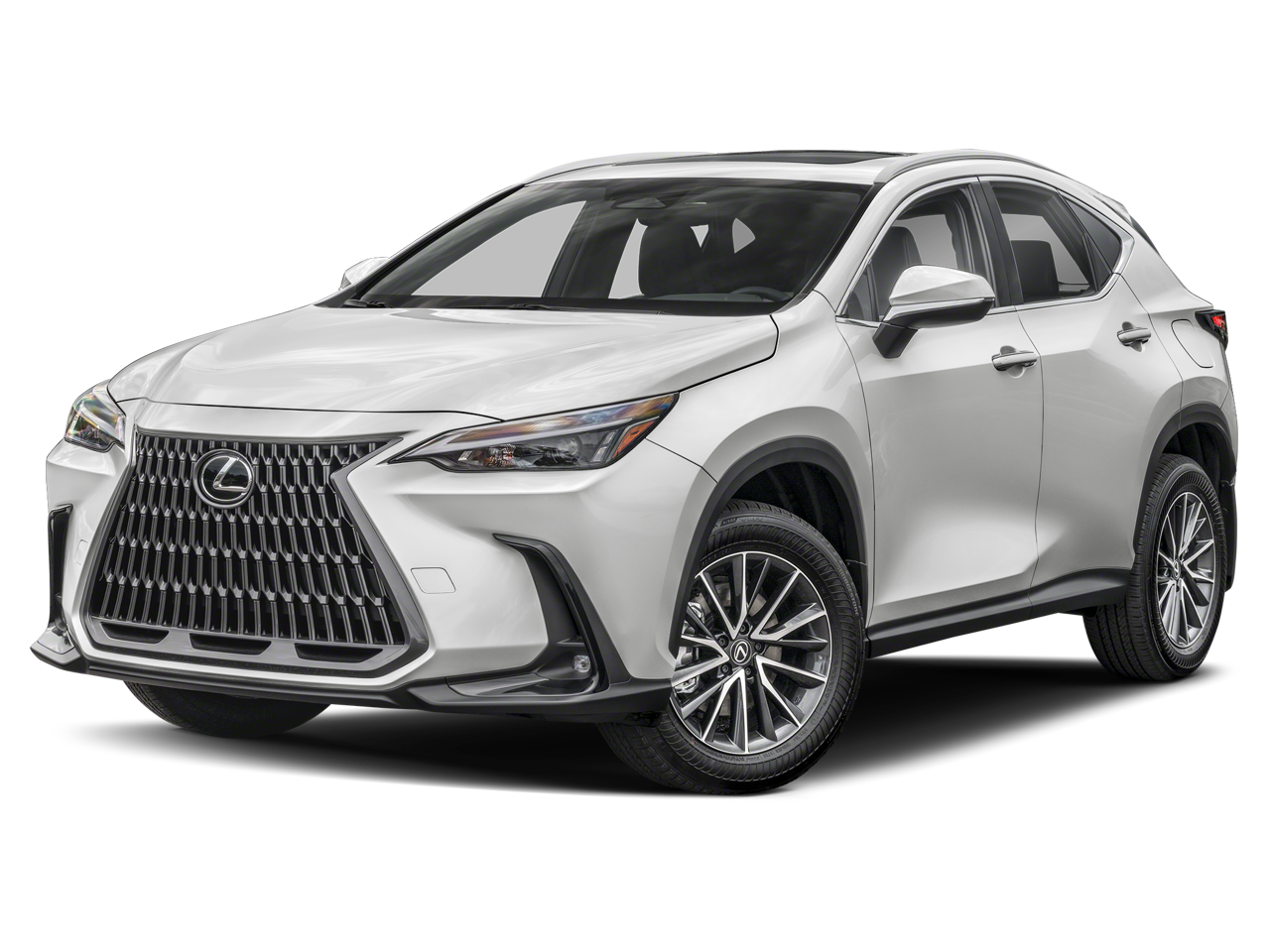 2024 Lexus NX