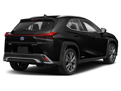 2020 Lexus UX 250h F SPORT
