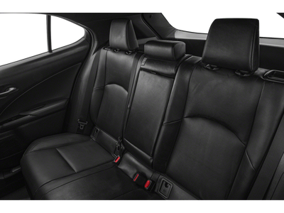 2020 Lexus UX 250h F SPORT