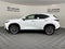 2026 Lexus NX 350 PREMIUM AWD