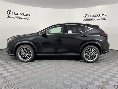 2026 Lexus NX 350 PREMIUM AWD