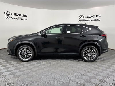 2026 Lexus NX 350 PREMIUM AWD