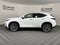 2026 Lexus NX 350 LUXURY AWD