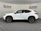 2026 Lexus NX 350 LUXURY AWD