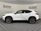 2026 Lexus NX 350 LUXURY AWD