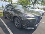 2025 Lexus NX 250 Base