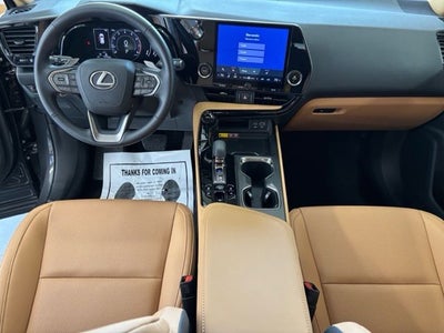 2025 Lexus NX 350 Base
