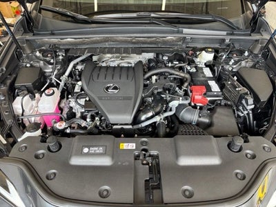 2025 Lexus NX 350 Base