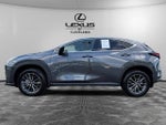 2025 Lexus NX 350 Base