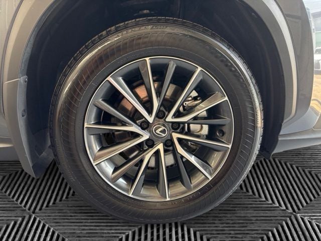 2025 Lexus NX 350 Base