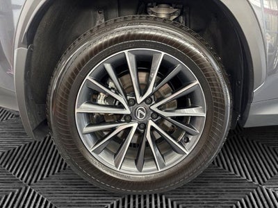 2025 Lexus NX 350 Base