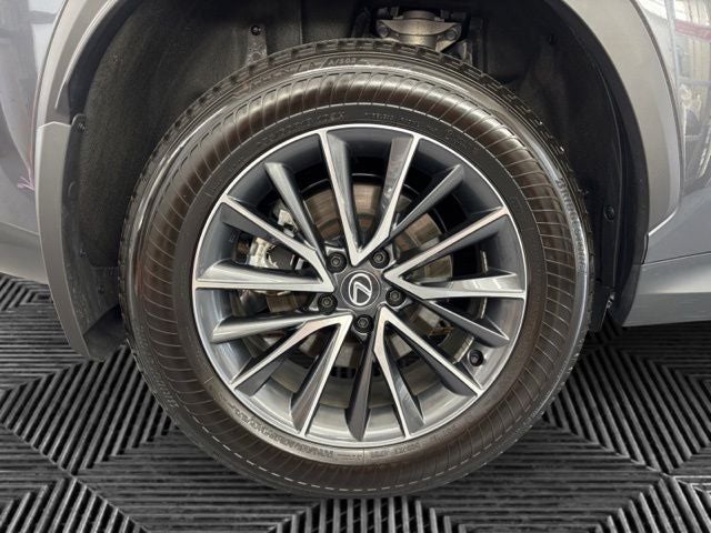 2025 Lexus NX 350 Base