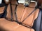 2026 Lexus NX 350 Base