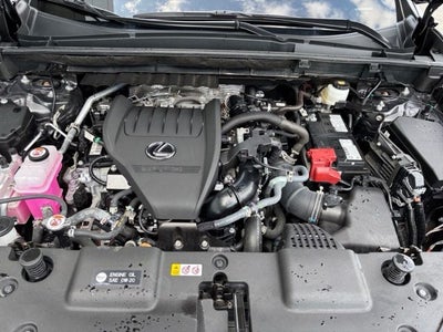 2026 Lexus NX 350 Base