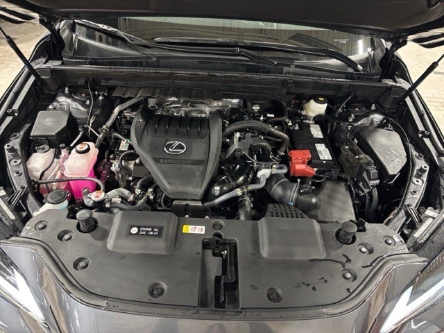 2024 Lexus NX 350 Base