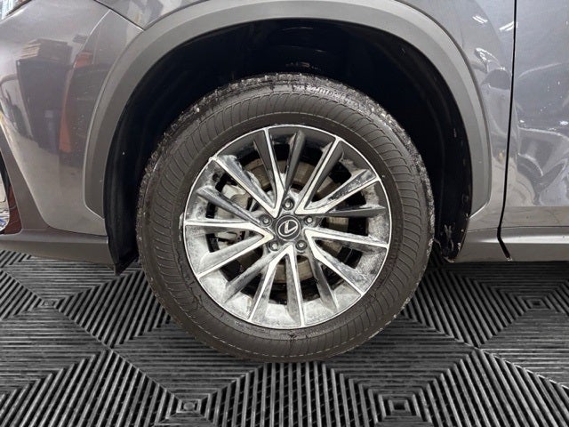 2024 Lexus NX 350 Base