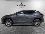 2024 Lexus NX 350 Base
