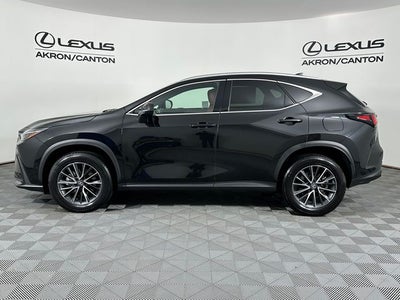 2025 Lexus NX 350 Base