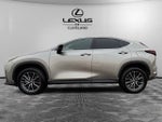 2025 Lexus NX 350 Base