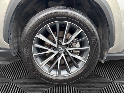 2025 Lexus NX 350 Base
