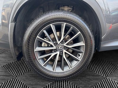 2025 Lexus NX 350 Base
