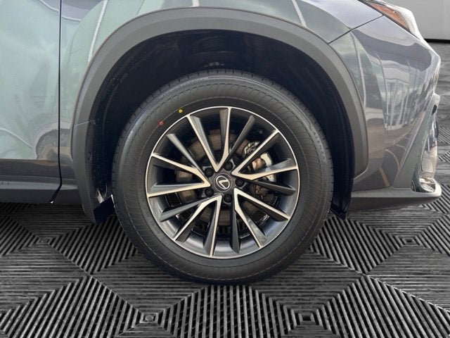 2024 Lexus NX 350 Base