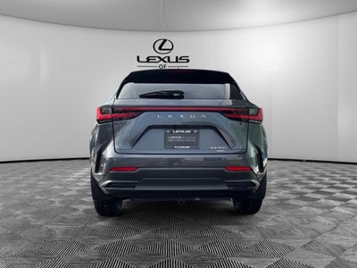 2024 Lexus NX 350 Base