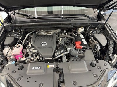 2024 Lexus NX 350 Base