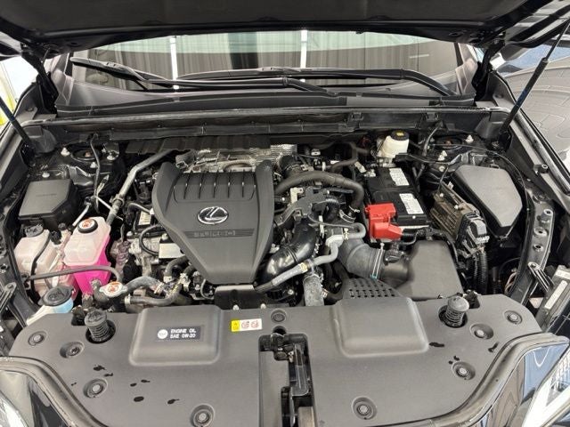 2024 Lexus NX 350 Base