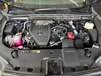 2025 Lexus RX 350 Luxury