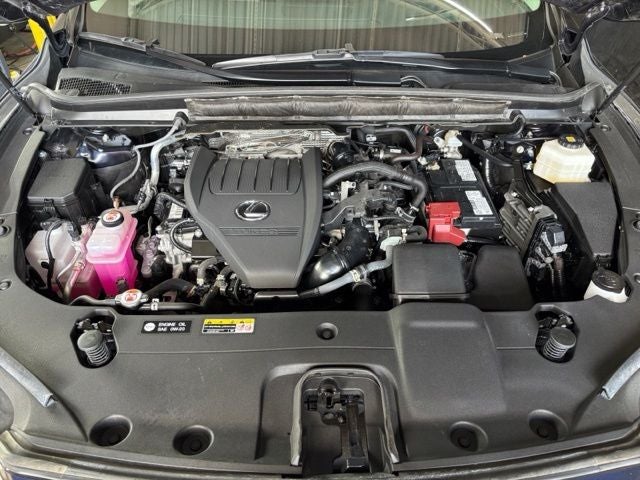 2025 Lexus RX 350 Luxury