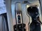 2024 Lexus RX 500h F SPORT Performance