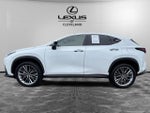 2026 Lexus NX 350 Premium