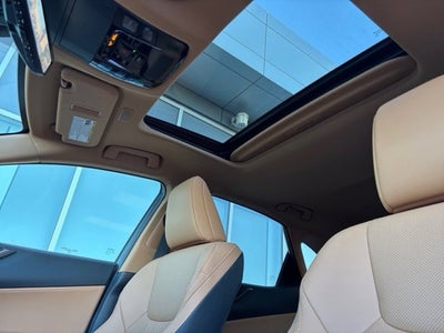 2024 Lexus NX 350 Premium