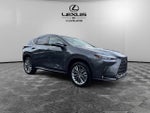 2025 Lexus NX 350h Premium