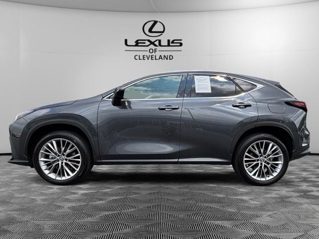 2025 Lexus NX 350h Premium