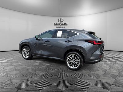 2025 Lexus NX 350h Premium