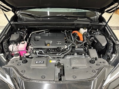 2024 Lexus NX 350h Premium