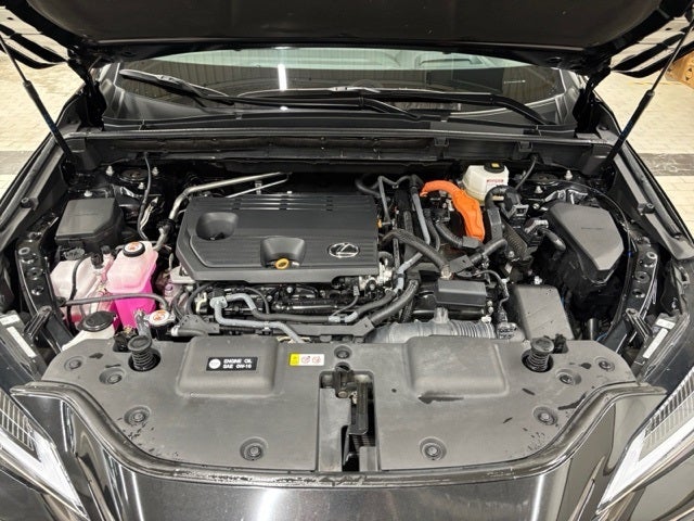 2024 Lexus NX 350h Premium