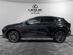 2024 Lexus NX 350h Premium
