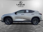 2024 Lexus NX 350h Premium