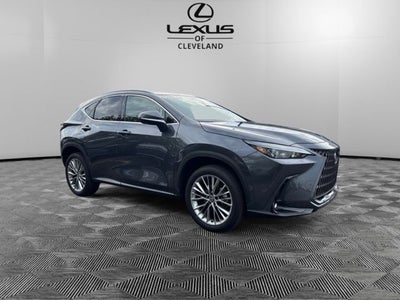 2025 Lexus NX 350h Premium