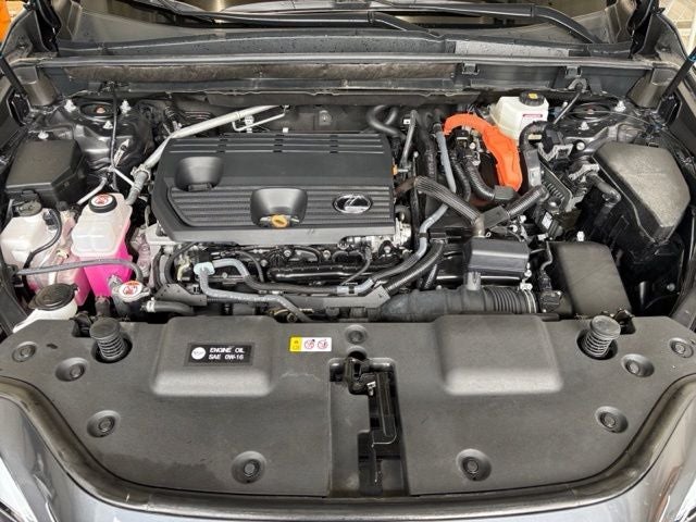 2025 Lexus NX 350h Premium