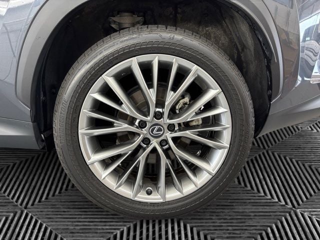 2025 Lexus NX 350h Premium