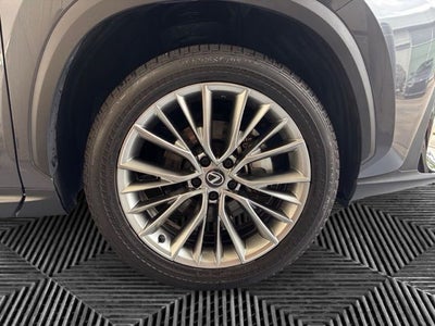 2025 Lexus NX 350h Premium