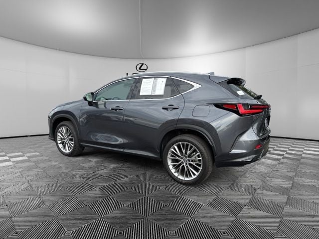 2025 Lexus NX 350h Premium