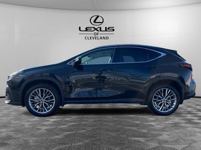 2023 Lexus NX 350 Luxury