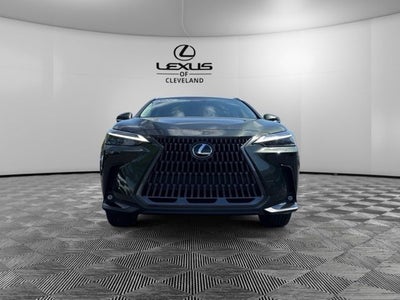 2024 Lexus NX 350 Luxury