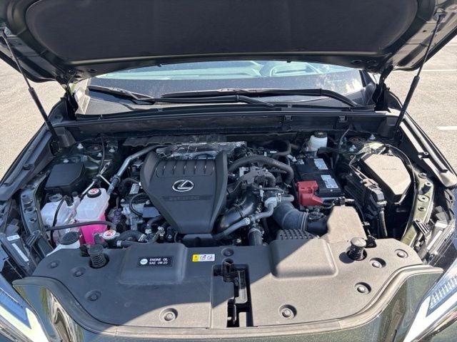 2024 Lexus NX 350 Luxury